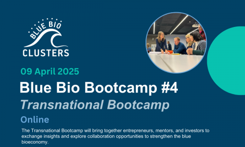 BlueBioBootcamps - Linkedin Event Banner (6)